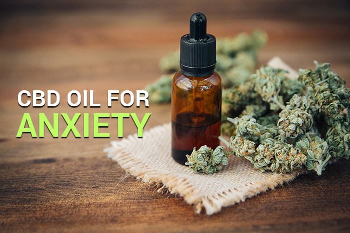CBD Oil 
      Tablets Ithaca 
      NY 14850